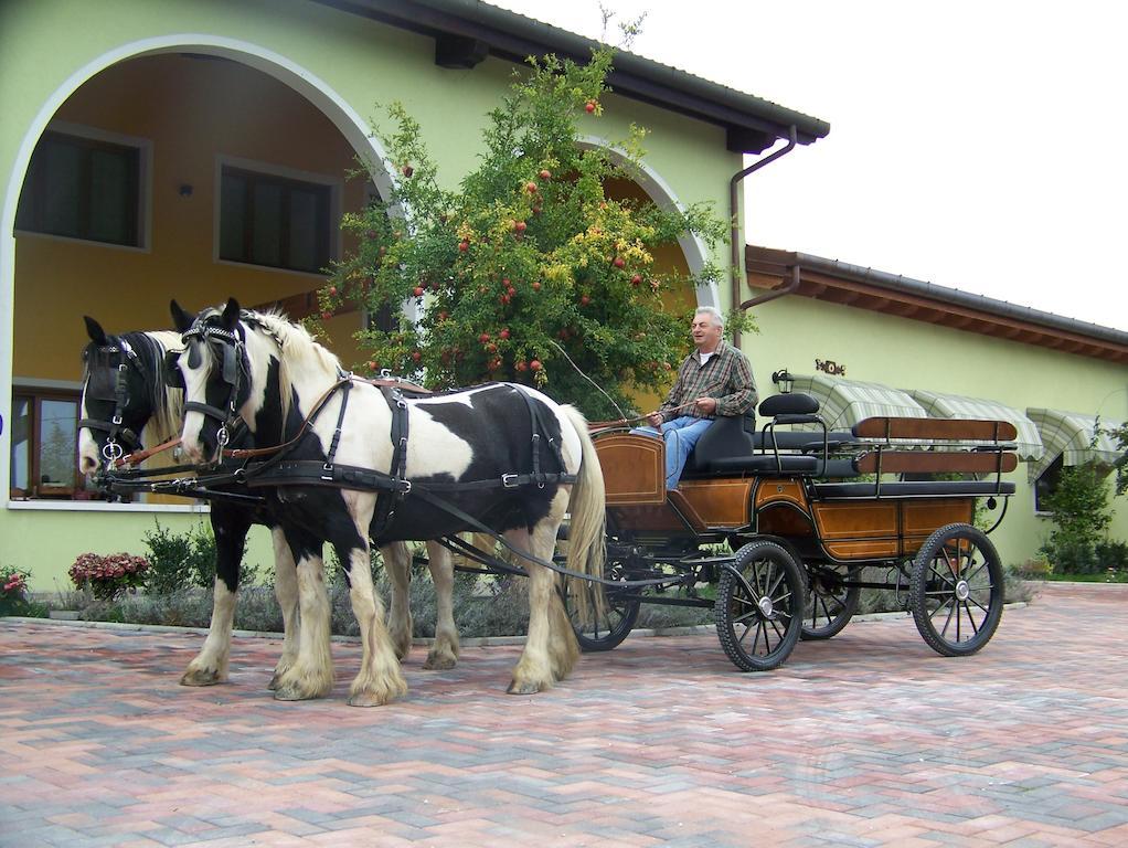 Agriturismo Nonna Rina San Liberale Exterior photo